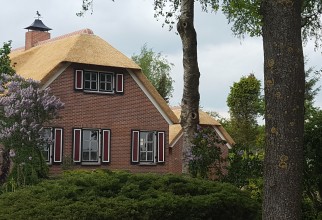 nieuw rietendak  woning Dedemsvaart