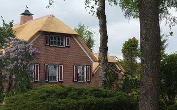 nieuw rietendak  woning Dedemsvaart